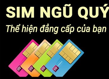 Sim ngũ quý thể hiện đẳng cấp của thân chủ